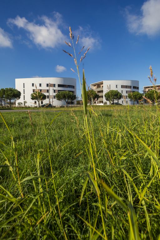 Maître d'ouvrage : Le Col, Anglet | Maître d'œuvre : Modex (ÉCO, MOE EXÉ, OPC) | Architecte : agence d'architecture Là | 2015-2016 | Crédit : Cédric Pasquini